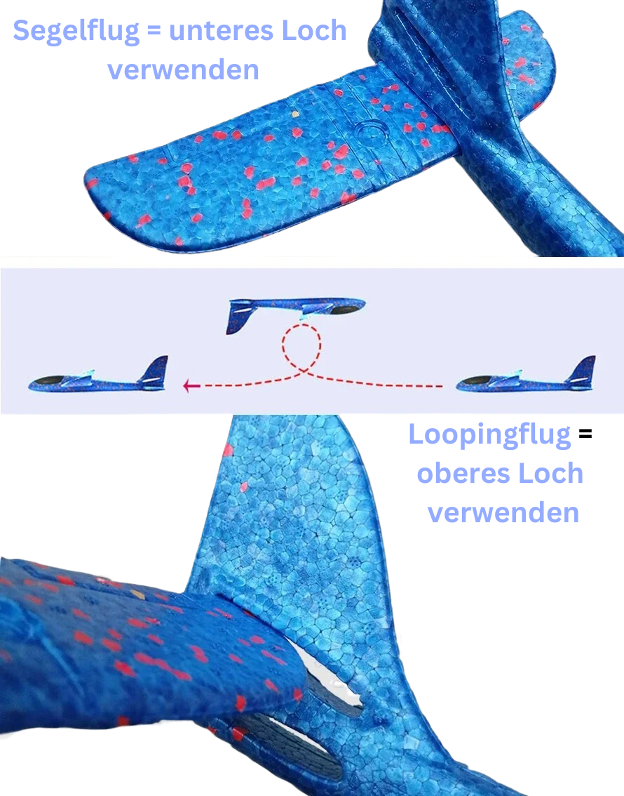 Segelflieger mit 50 cm Spannweite