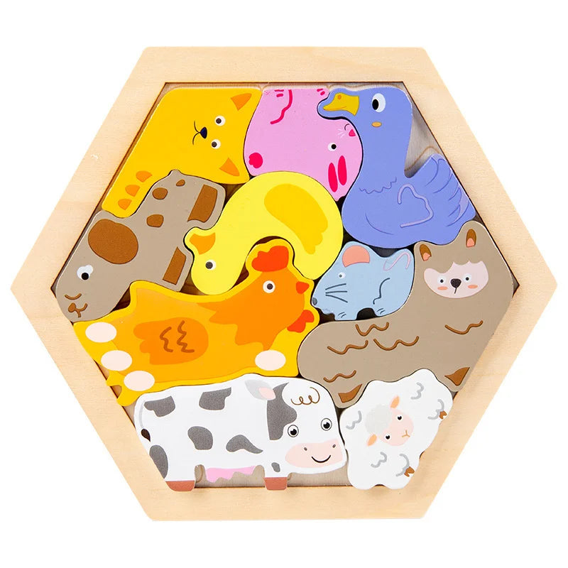 Hexagon Puzzle
