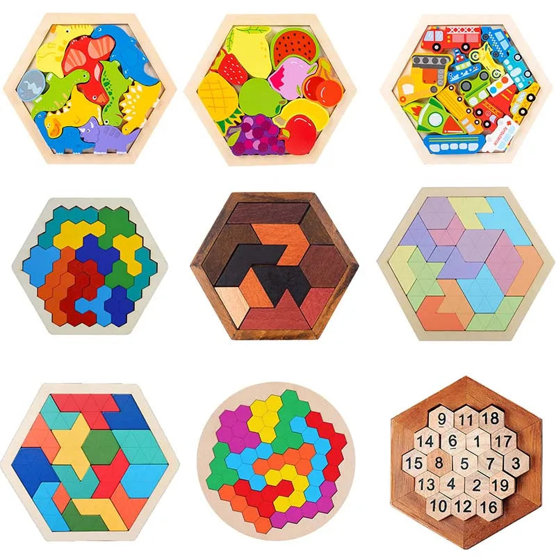 Hexagon Puzzle