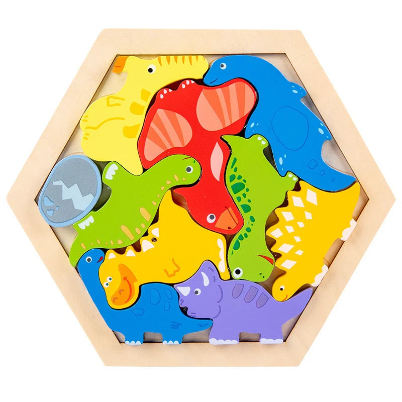 Hexagon Puzzle