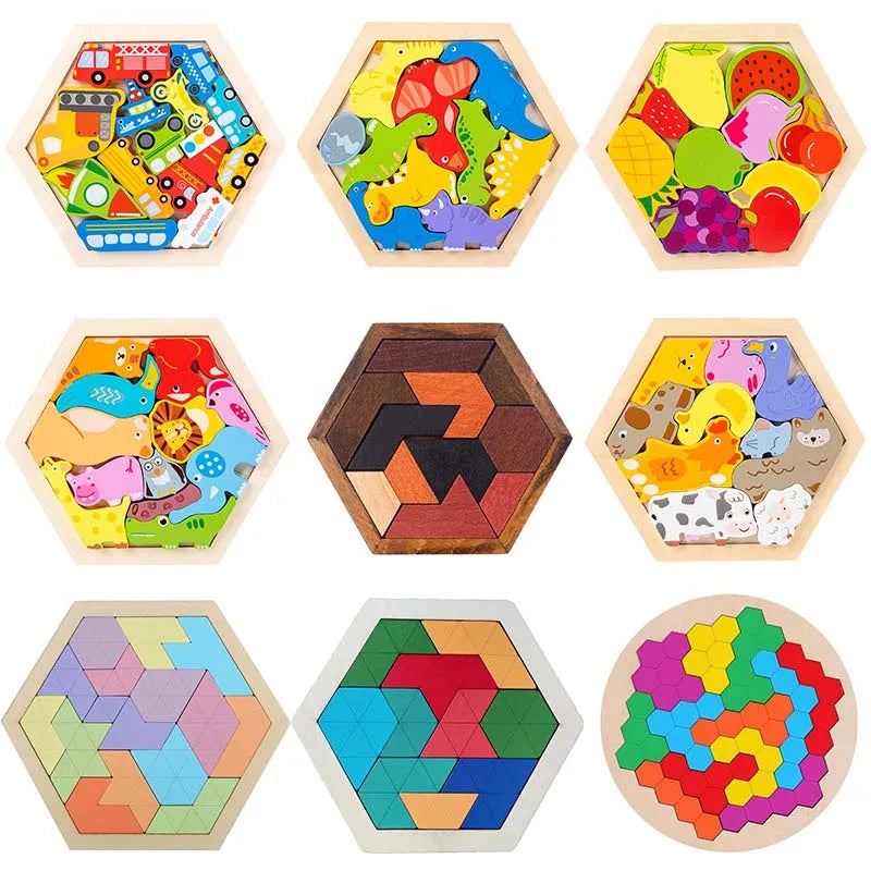 Hexagon Puzzle