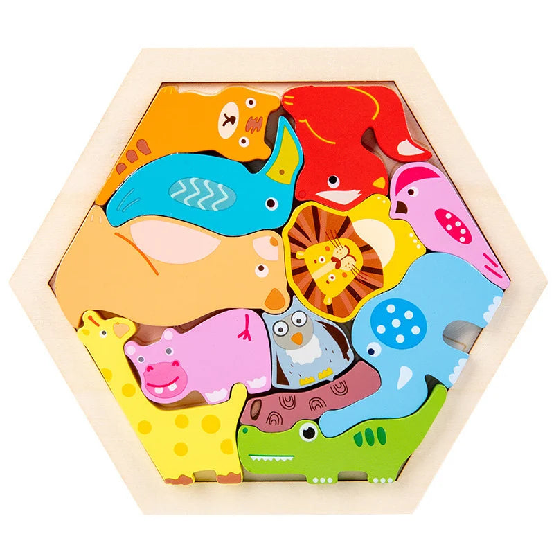 Hexagon Puzzle