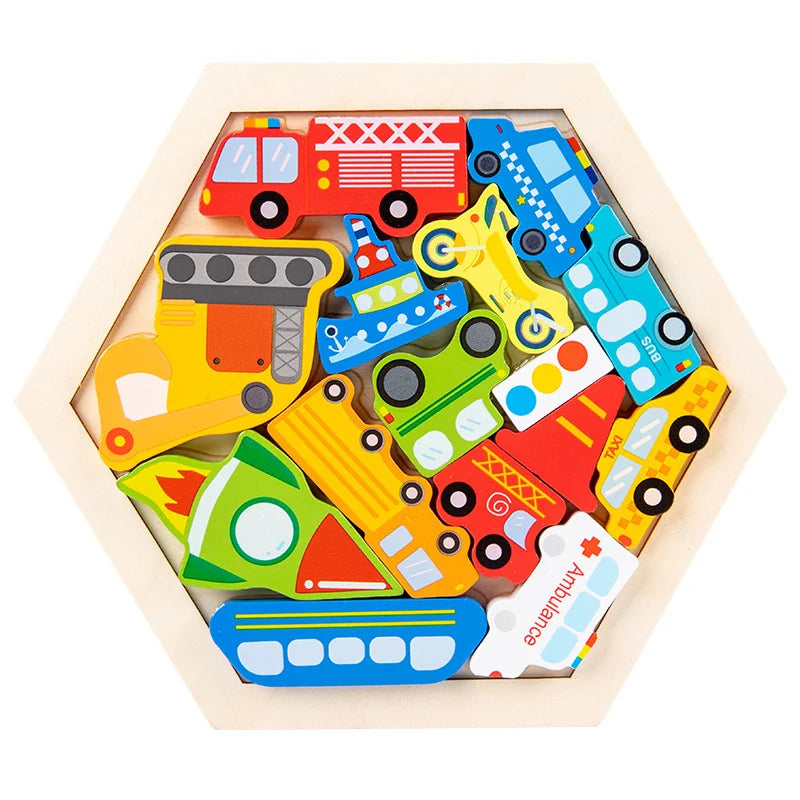 Hexagon Puzzle
